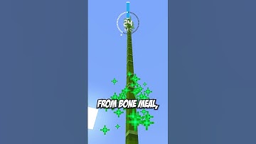 guess the block in 60 seconds 25…