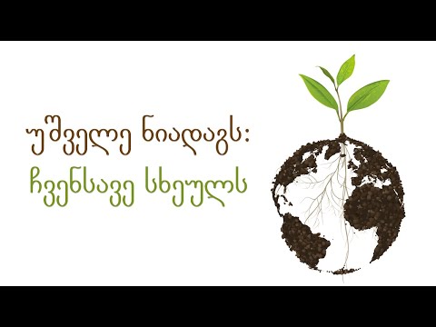 უშველე ნიადაგს: ჩვენსავე სხეულს | სადჰგურუ