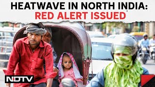 Heatwave In India | At 43.7 Degrees, Delhi Sees Hottest Day Of Season; Red Alert Issued | Other News