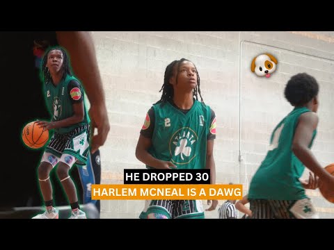 Newly released 2029 Preseason Top 100 National Rankings 2029 Harlem McNeal  @cantguardharlem is a shifty guard who uses his body well…