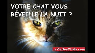Votre Chat Vous Reveille La Nuit Youtube Votre Chat Vous Reveille La Nuit Youtube