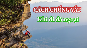 Cách chống vắt