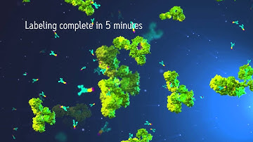 Monitoring N-linked Glycan Profiles in Biopharmaceutical Characterization