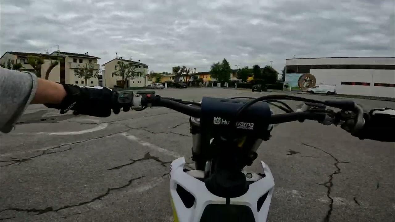 WHEELIES & DOGS YouTube