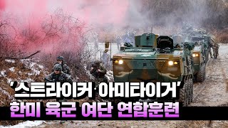 한미 최강 육군전력 '스트라이커‧아미타이거' 첫 여단 연합훈련