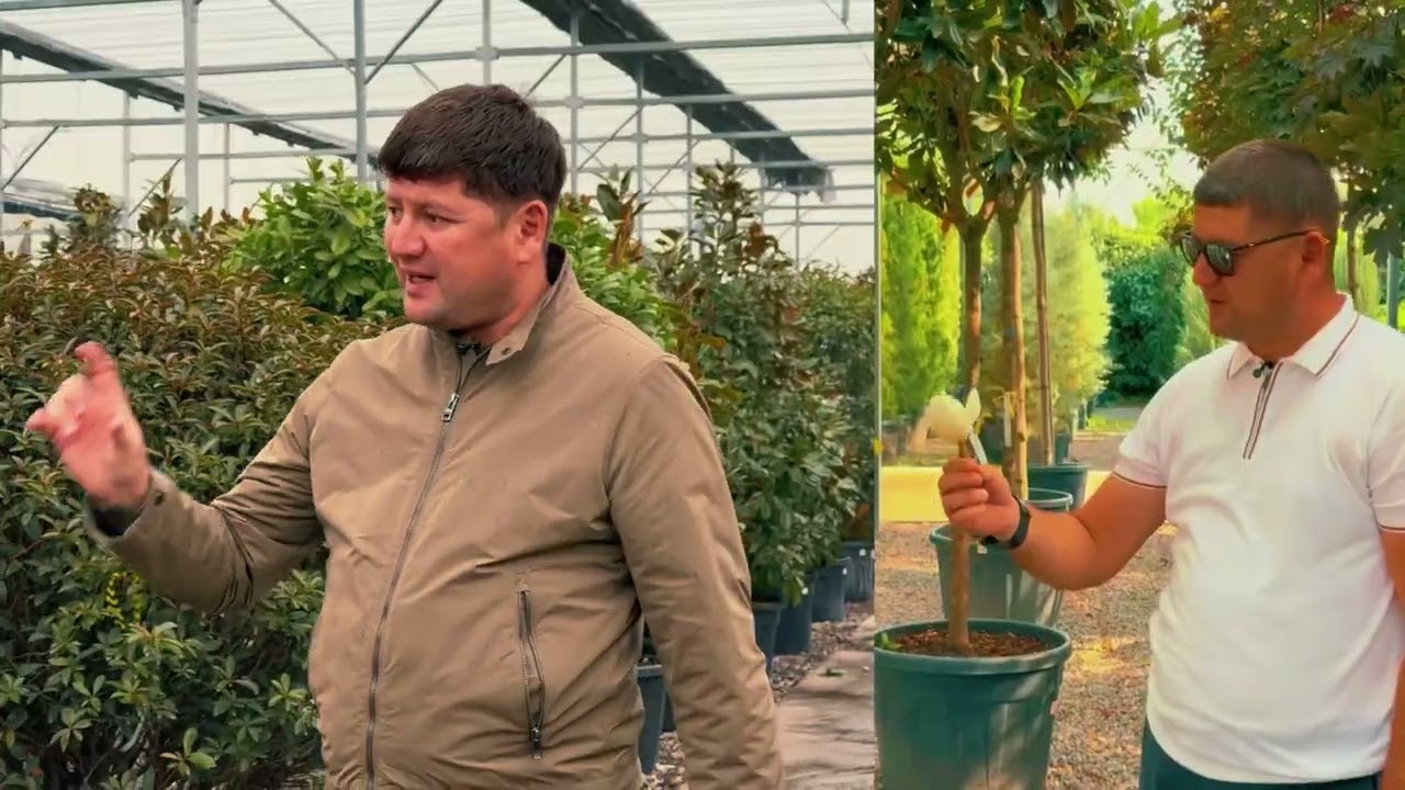 BAHORGA TOP-5 ta o’simlik