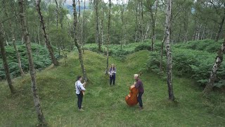 Auka - Brook Official Video