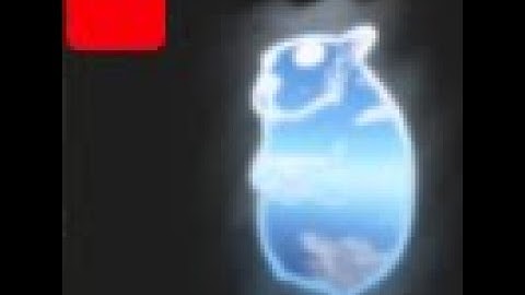 How to get Boundless Chomik