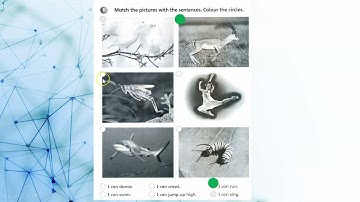 Super Minds - Unit 8 The robot page 96 with answers