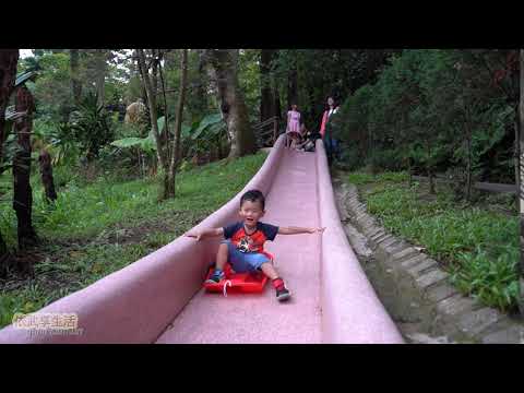 yiwu森林鳥樂園 磨石子溜滑梯