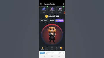 29 June Hamster Daily Cipher! Secret Morse Code 🔥