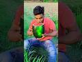 Big Watermelon 🍉 shake 😋 | #shorts #ytshorts #funny #trending #comedy