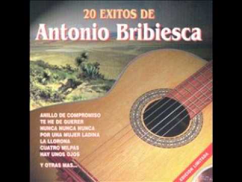 Antonio Bribiesca Exitos/ Armando con las armonias del mariachi "Los alzanes" - YouTube