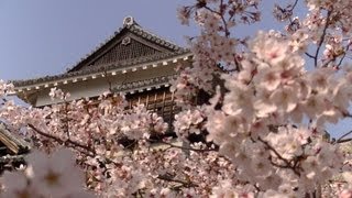 Spring Festival 2012 at Matsuyama Castle