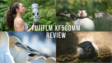 Fujifilm XF500mm REVIEW | Fujifilm X-H2s | Photography & Videography