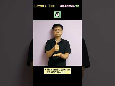 [ 기초 수어 Voca ] 981. 죄 - 수화배우기 [주넌쌤의 수어놀이터]