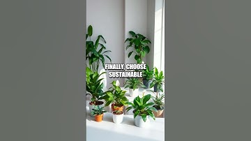 Eco-Friendly Workspaces: Optimize for Sustainability