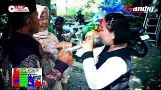 NGAPLANG NGAPLANG - ORGAN LESEHAN - MAJAK PELEM AUDIO - DUSUN JANGGAR - UJUNG GEBANG - SUKRA IM