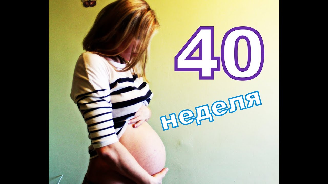 40 недель слабость. Живот на 40 неделе беременности. Беременный живот. Маленький беременный животик на 40 неделе. Маленький живот на 40 неделе беременности.