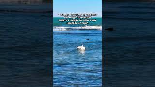 #beautiful song#shorts #life #motivation #мудрость #сильныесловасосмыслом #любовь #цитатыпрожизнь #