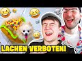 DIESER HUND IST EIN TACO! - Wer Lacht, der Lacht!