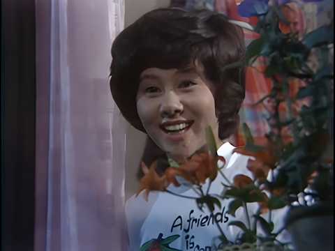 ♬街の灯り(堺正章・天地真理)1973(昭和48年)時間ですよ