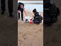 From dying on the beach to becoming human's best friend