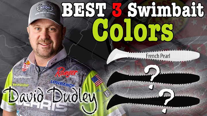 Top 3 Swimbait Colors for Bass Fishing
