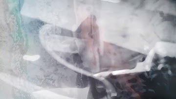 Diversicolor - She made a will