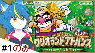 ワルホシすず『ワリオランドアドバンス』