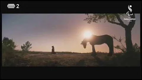 Como foi criado o vídeo?
