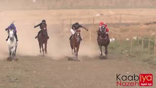 سباقات الخيل العربية تحدي جميل بين الحصان برهان زير الموبين اغويرو #الخيل_العربية #فروسية