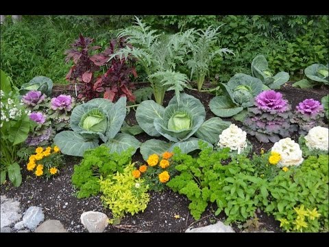 Как удалить и что это 27 Как удалить и что это 1