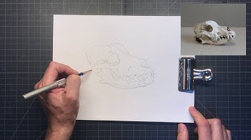 Blind and Modified Contour Line Drawing