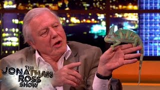 David Attenborough Narrates The Jonathan Ross Show #ThrowbackThursdays | The Jonathan Ross Show