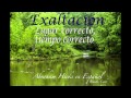 Exaltación! lugar correcto, tiempo correcto  - Abraham Hicks en Español