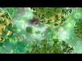 Serologic Testing for IgG Antibodies Against SARS-CoV-2