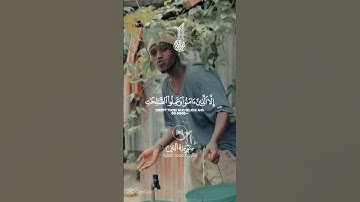 سورة التين | محمد الفقيه #quran #قران_كريم #قرآن ✨