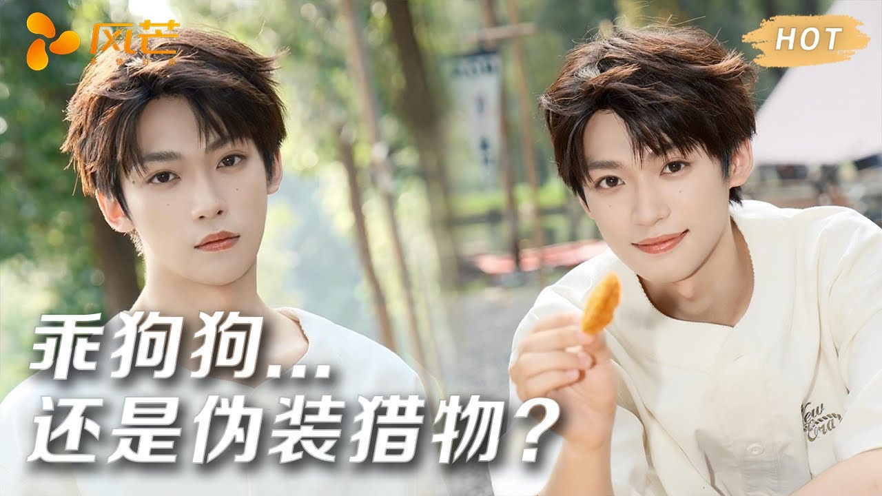 職場女強人與偽裝乖狗的博弈