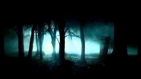 Tinnitus Masking:  Nightfall in forest + Brown Noi...