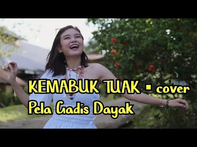 KEMABUK TUAK ▪︎ PELA Gadis Dayak  ( cover ) Cipt. Ade Jak ▪︎ Lagu Dayak class=