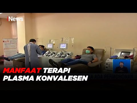 Video: Model Direkayasa In Vitro Dari Tumor Dormansi Dan Reaktivasi