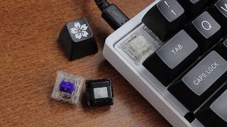 Custom Pok3r keyboard review (Zealiostotles)
