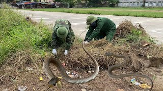 Big Project Clean up Stadium Part 2 Encountered Snakes While Cleaning Overgrown Grass Too Dangerous