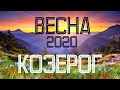 КОЗЕРОГ. ВЕСНА 2020. ТАРО-ПРОГНОЗ.