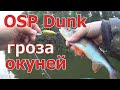 OSP Dunk 48 - гроза окуней! Затопленный лес - рай для спиннингиста