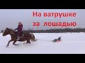 Катание на "ватрушке" за лошадью. + клип