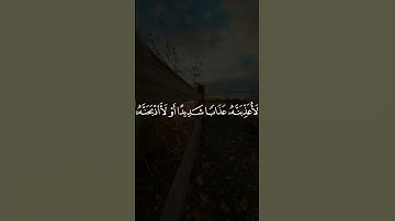 وتفقد الطير فقال مالي لآ أرى الهدهد/ القارئ ياسر الدوسري #قرآن