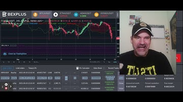 Cryptoballers X:  🚨 Afternoon Wins! BexPlus on Fire on Crypto Reversals Using the RSI/QRT Method
