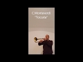 Miniature de la vidéo de la chanson Trumpet Solo